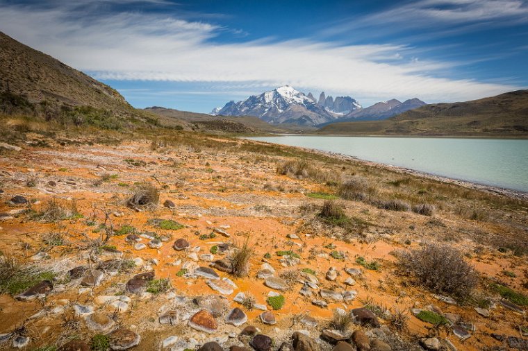 110 Torres Del Paine, Laguna Amarga.jpg